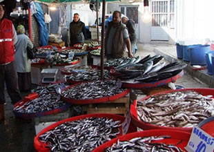 Balık fiyatları yarı yarıya düştü