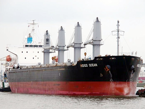 Deval Denizcilik, M/V INDIGO OCEAN isimli kuruyük gemisini satın aldı