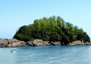 Giresun Adası’na tur için tekne kiralanacak