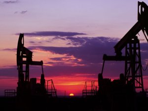 OPEC: Petrol daha fazla düşmez