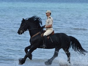 Deniz kıyısında dört nala eğitim