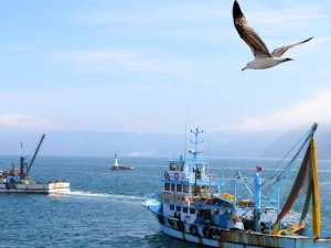 İstanbul'da balıkçıların hedefi 50 bin ton balık