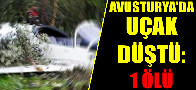 Avusturya'da küçük uçak düştü
