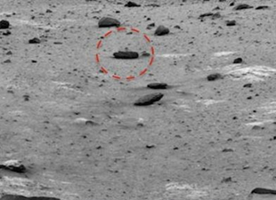 Mars’ta ‘kertenkele bulundu’ iddiası