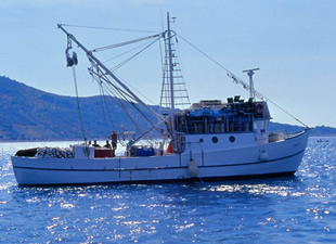Antalyalı balıkçılar TURMEPA'ya üye oldu
