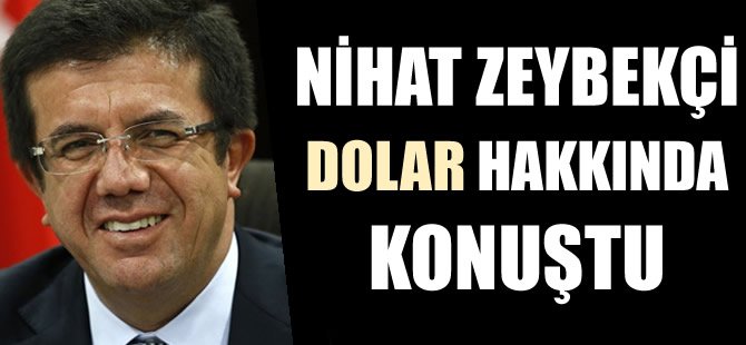 Zeybekci`den dolar açıklaması
