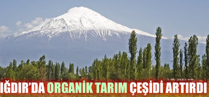 Iğdır'da Organik Tarım Bioçeşitliliği Artırdı