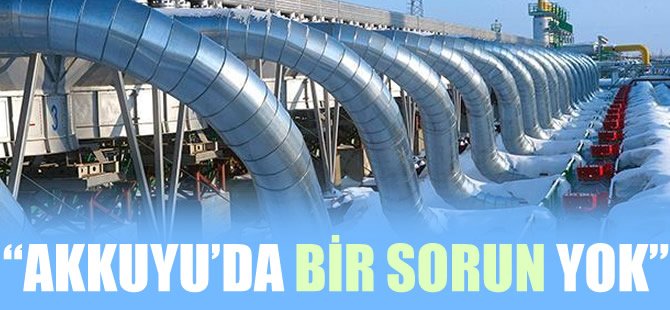 Enerji Bakanı: "Akkuyu'da bir sorun yok"