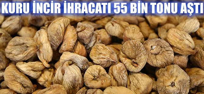 Türkiye'nin Kuru İncir İhracatı 55 Bin Tonu aştı