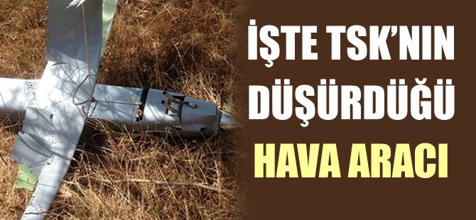 İşte TSK'nın düşürdüğü hava aracı