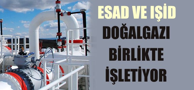 FT: Esad ve IŞİD doğalgazı birlikte işletiyor