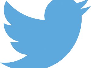 Twitter'ın yeni hissedarı Steve Ballmer