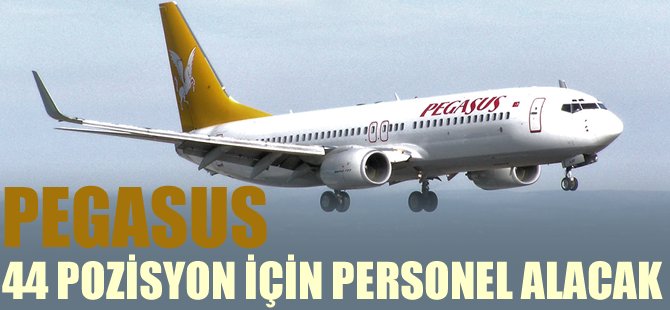 Pegasus, 44 pozisyon için personel alacak