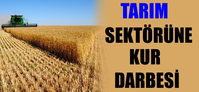 Tarım sektörüne kur darbesi