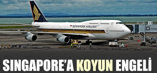 Singapore'un kargo uçağına koyun engeli