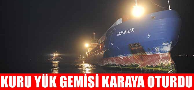 Çanakkale Boğazı'nda kuru yük gemisi karaya oturdu
