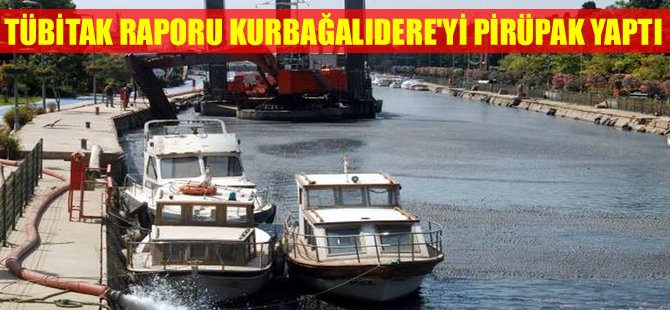 TÜBİTAK'a göre Kurbağalıdere'nin çamuru tehlikesizmiş!