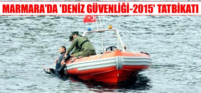 Haydarpaşa-Köstence arasına yeni Ro-Ro hattı