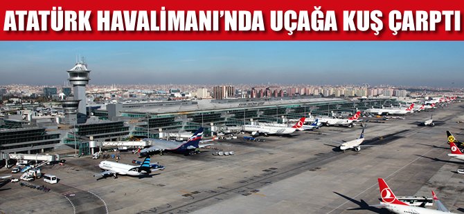 AHL'de uçağa kuş çarptı