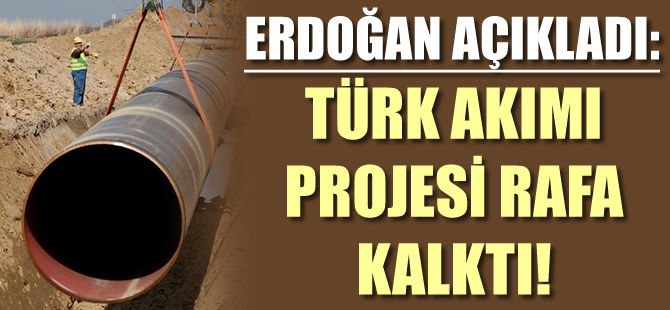 Erdoğan açıkladı: Türk Akımı projesi rafa kaldırıldı