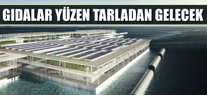 Gıdalar yüzen tarladan gelecek