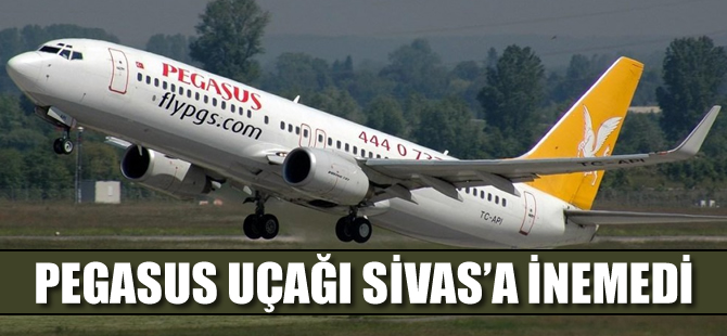 Pegasus uçağı Sivas'a inemedi