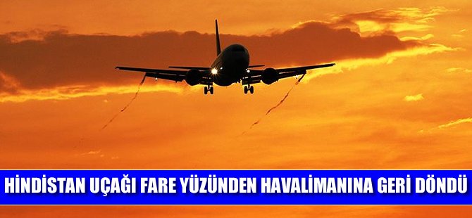 Hindistan uçağı fare yüzünden havalimanına geri döndü