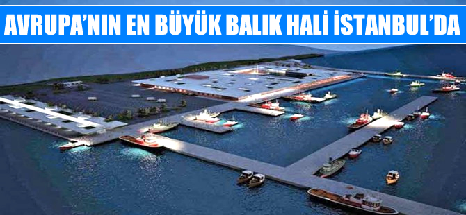 Avrupa'nın en büyük balık hali İstanbul'da