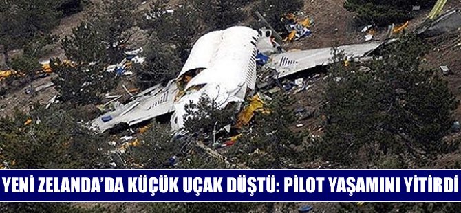 Yeni Zelanda'da küçük uçak düştü