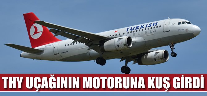 Motoruna kuş giren uçak geri döndü