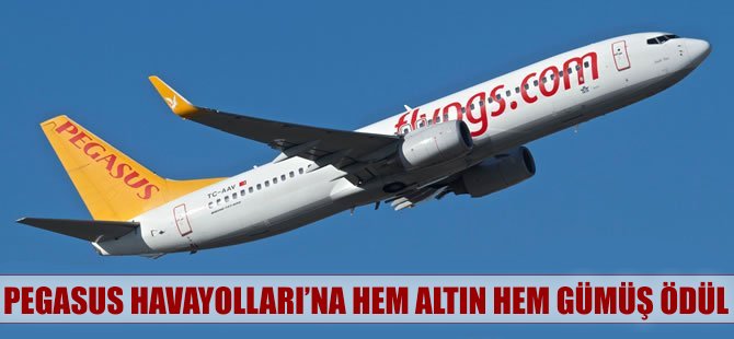 Pegasus'a hem altın hem gümüş ödül