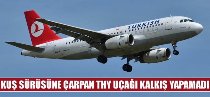 THY uçağı kuş sürüsüne girdi