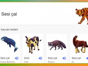 Google aramalarında artık hayvan sesleri de olacak