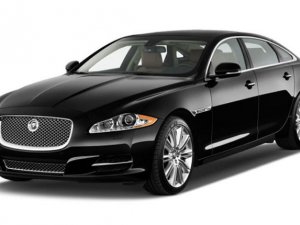 25 Jaguar lansmanda satıldı