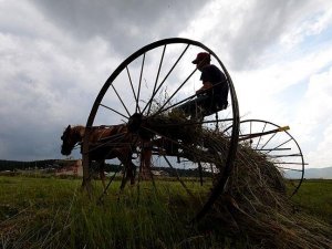 Elektrik borcu olan çiftçiye destek verilmeyecek