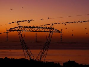 Türkiye'de elektrik AB'den ucuz