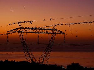 Türkiye'de elektrik AB'den ucuz