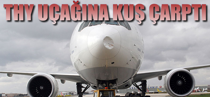 THY uçağına kuş çarptı