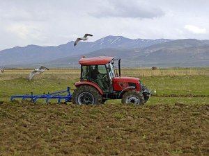 Hibe desteği sonuçları bugün açıklanacak