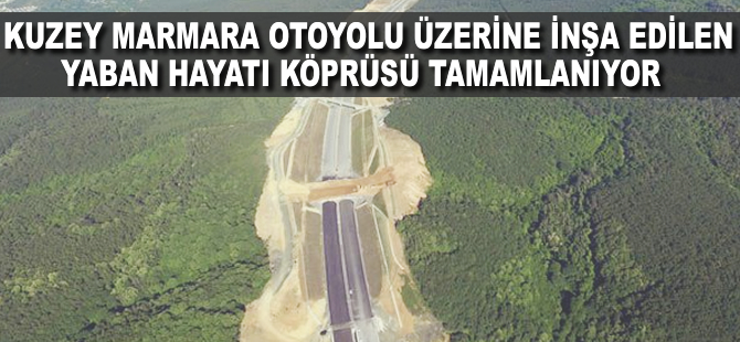 Bitimine çok az kaldı! Türkiye için bir ilk olacak