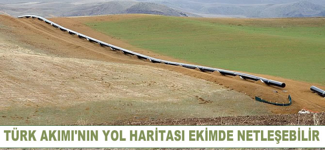 Aleksandr Novak: Türk Akımı'nın yol haritası ekimde netleşebilir