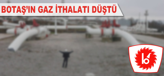 BOTAŞ'ın gaz ithalatı düştü