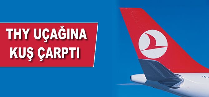 THY uçağı'na kuş çarptı