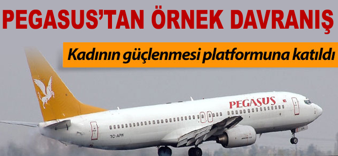 Pegasus'tan örnek davranış