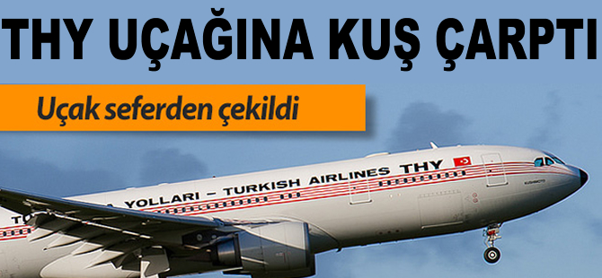 THY uçağına kuş çarptı AHL'ye geri döndü