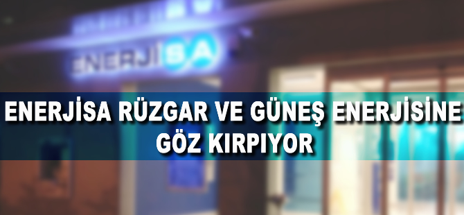 Enerjisa rüzgar ve güneş enerjisine göz kırpıyor