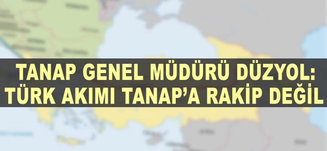 TANAP Genel Müdürü Düzyol: Türk Akımı TANAP'a rakip değil