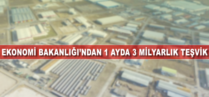 Ekonomi Bakanlığı'ndan 1 ayda 3 milyarlık teşvik