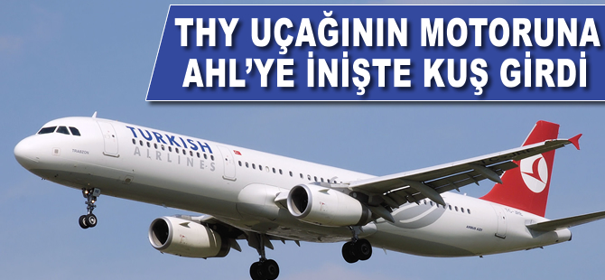 THY uçağının motoruna AHL'ye inişte kuş girdi