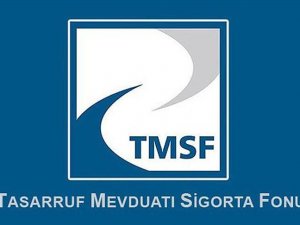 TMSF iki şirketi satışa çıkardı